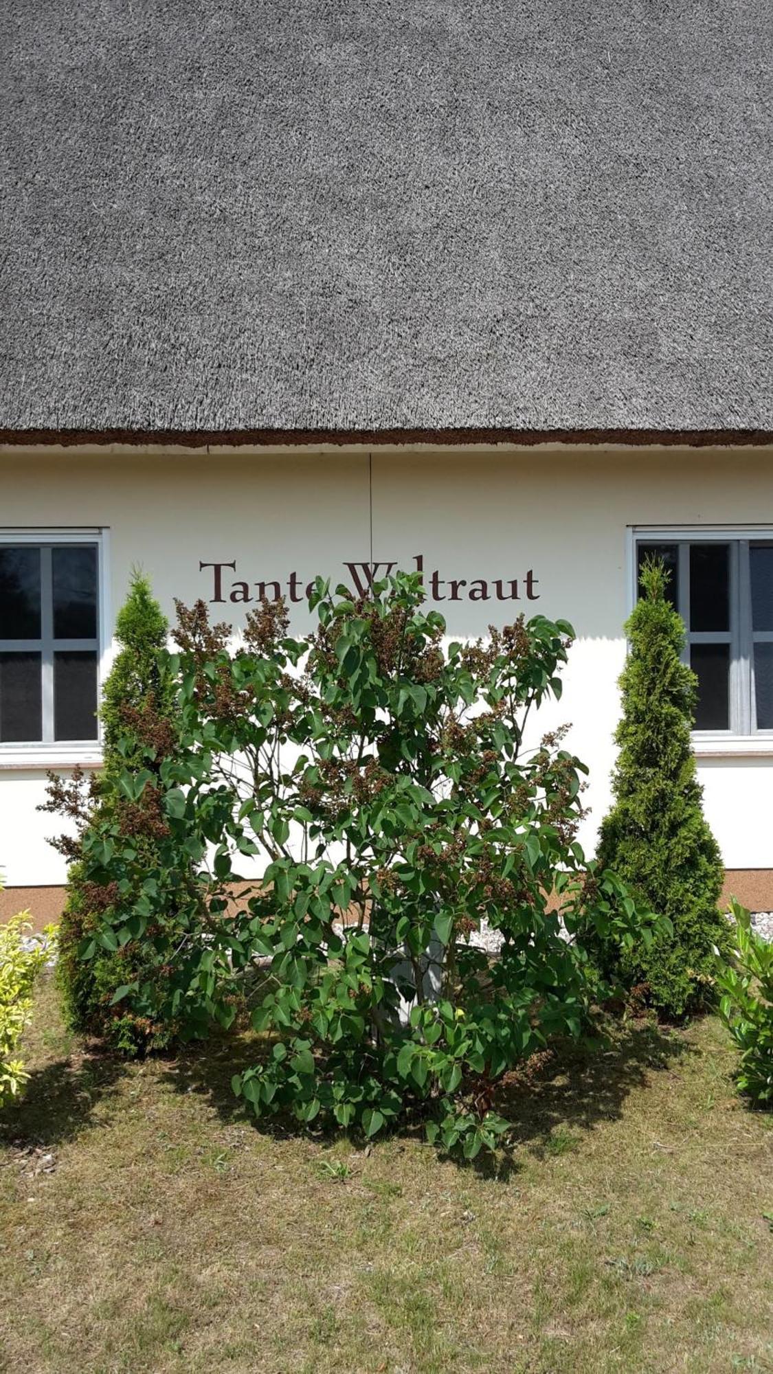 Haeuschen "Tante Waltraut" Villa Garz  Buitenkant foto